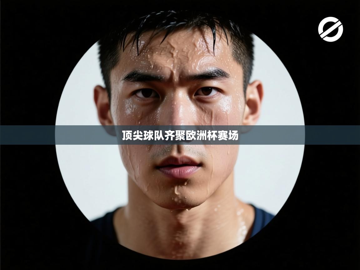 顶尖球队齐聚欧洲杯赛场  第1张