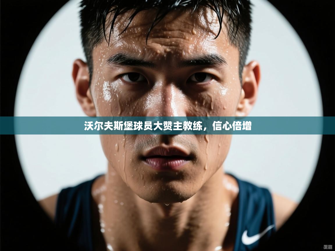 沃尔夫斯堡球员大赞主教练,信心倍增 第1张